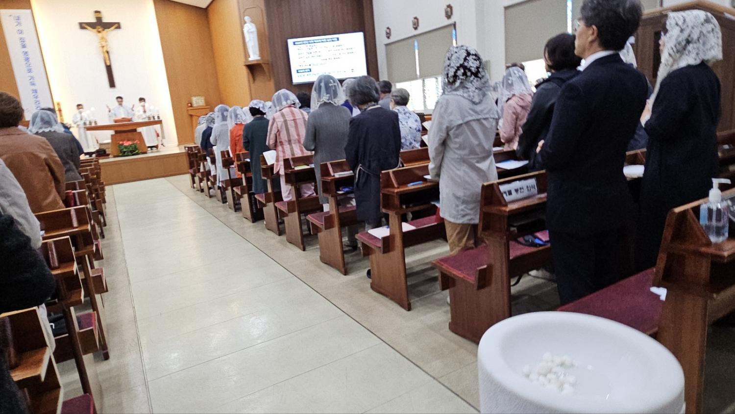 KakaoTalk_20240427_195135897.jpg